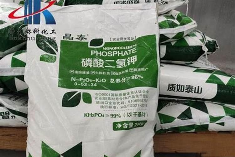 文竹施什么肥料好