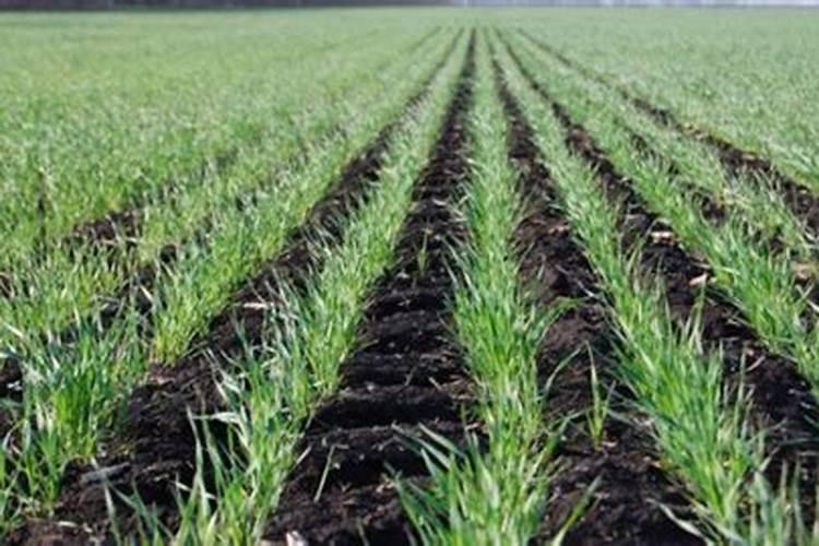 硝化剂的种类和应用范围