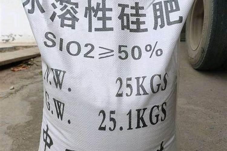 长寿花疯长后怎么修剪