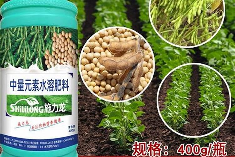 大豆喷什么叶面肥好,如何喷施