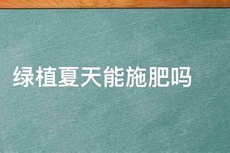 夏天中午可不可以淋水施肥