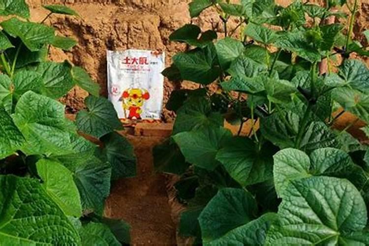 点读笔好记星和爱百分哪个好