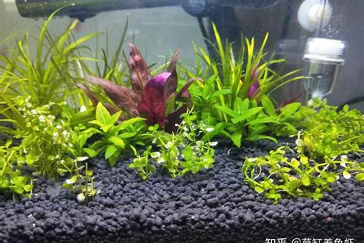 为什么要用硫酸钾和氯化钾？