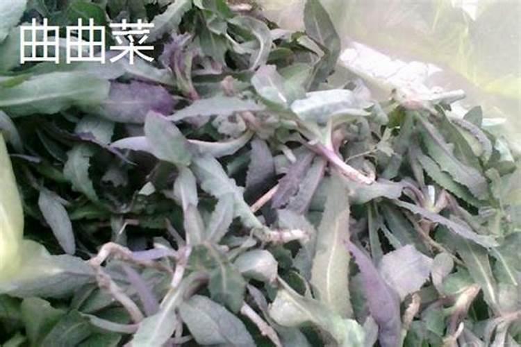 硫酸镁浇花什么比例