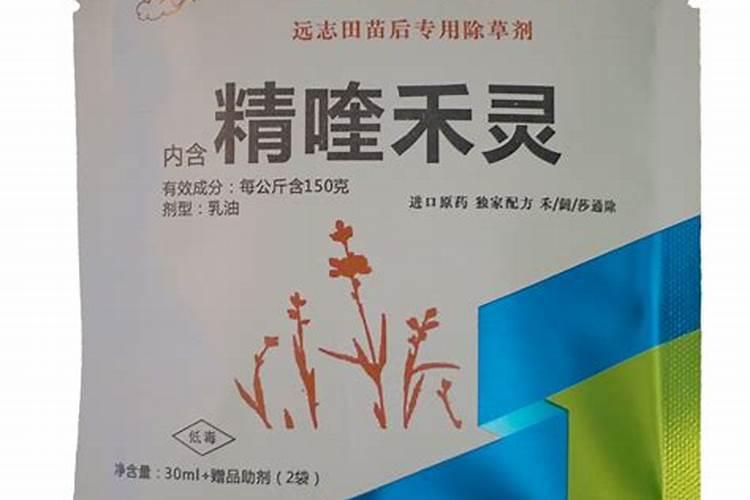 请问:看豌豆叶子上的斑点,应该是炭疽病,那么豌豆荚上的小黑点应该就是...