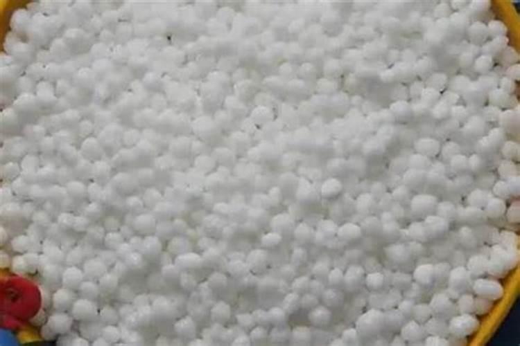 舟山市日新海洋生物科技有限公司怎么样？