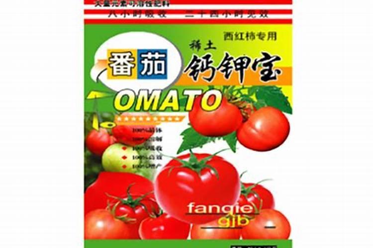 蕃茄施什么肥最好
