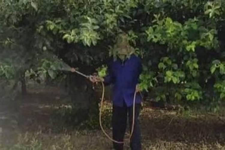 菜枯肥的肥性强不强？它是磷肥、氮肥、还是钾肥？对于兰草应当怎样施用...