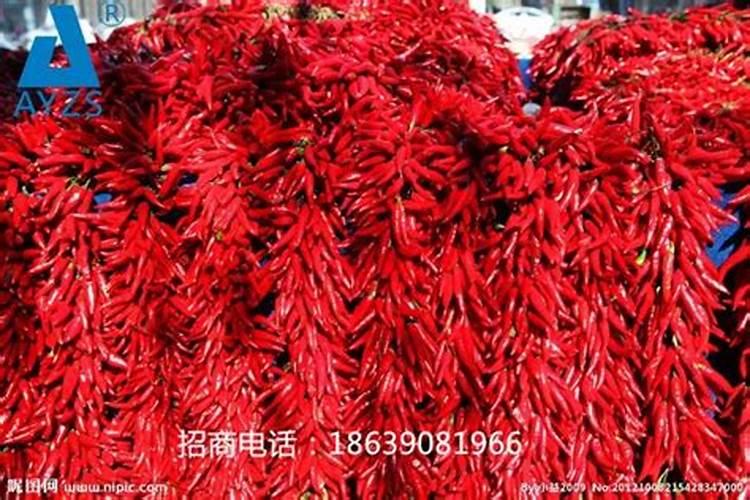 磷细菌肥料要注意哪些事项？