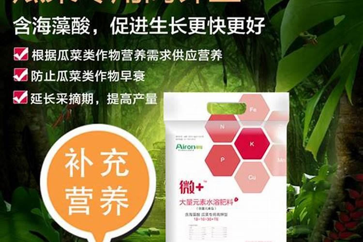 玉米水淹后能活过来吗(玉米地被水淹有水涝后怎么冶)