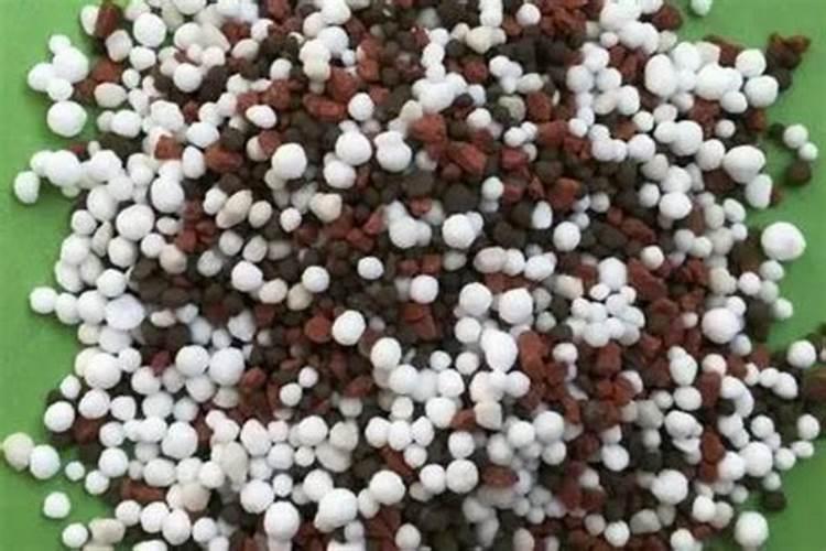 玉米被水淹过变黄了怎么办