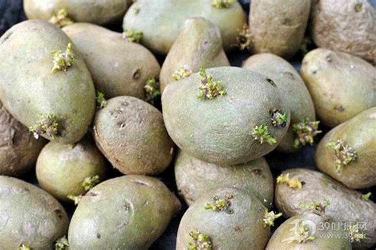 磷钾肥是什么意思