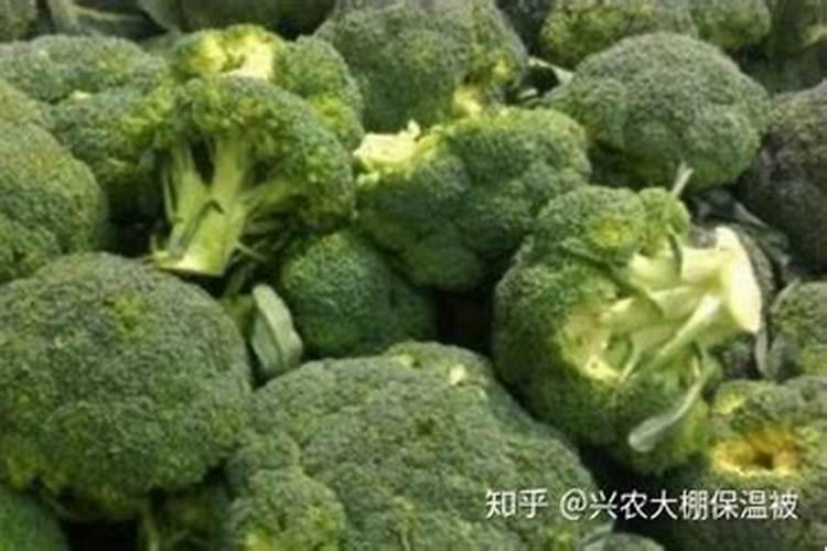 水溶肥可以加生根剂吗