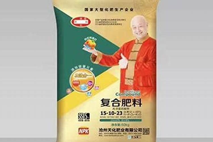 广东草莓2023年批发价格多少？