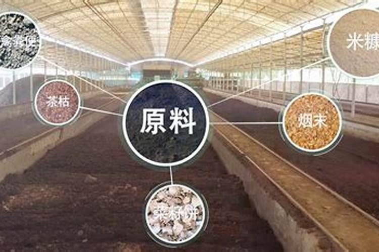 益补丰化肥是哪个厂子生产的