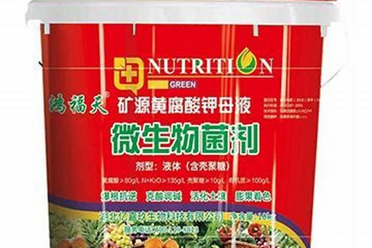 种冬小麦如何施底肥