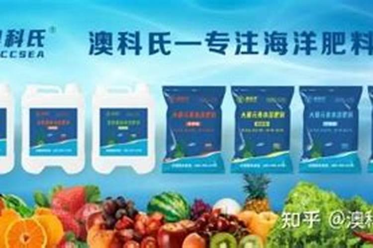 春季小麦喷什么叶面肥好呢？