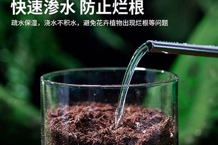山药追肥用什么肥料好