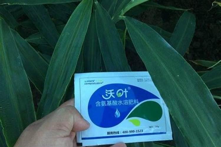 天然磷钾肥有哪些