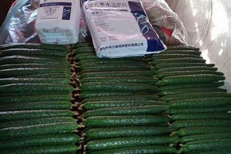 小麦一年施肥几次 施肥最佳时间