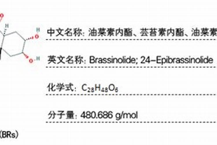 生姜苖期施什么化肥好 生姜怎么施肥