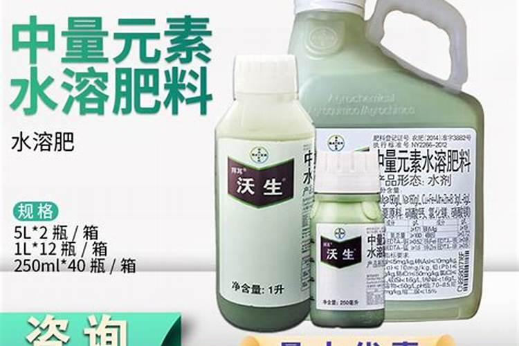 盆栽橘子树总是掉叶子怎么办