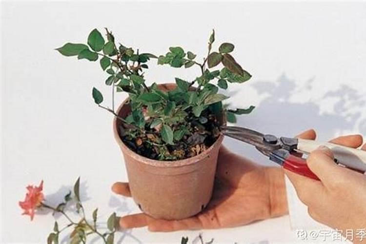 氢氧化钾的俗名