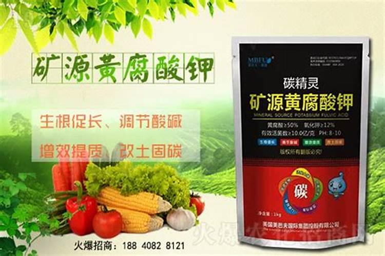 发酵豆粕的生产工艺