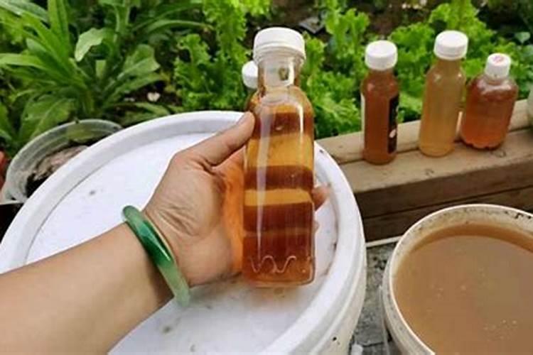 花肥的制作最简单方法大全