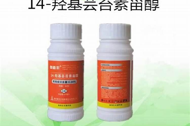南非开普海藻肥效果