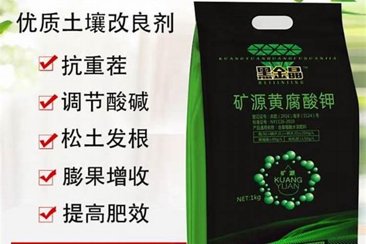 马水桔果实太小,有什么办法让果子更大些？