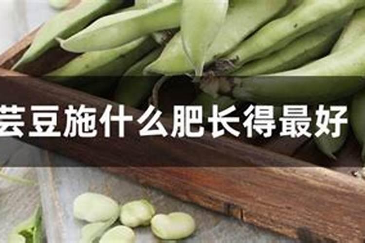 叶面肥可以灌根吗 叶面肥多长时间能吸收