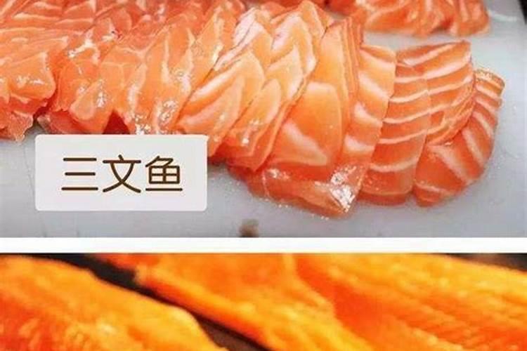 自制鱼蛋白有氨气怎么办呢