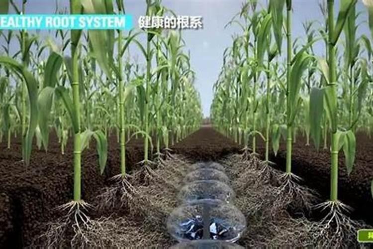 化肥氮、磷、钾的作用是什么？