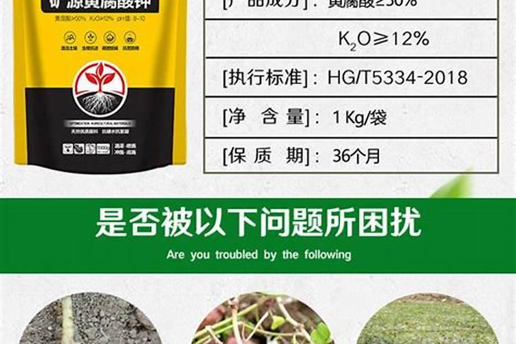 山东最好的水溶肥公司