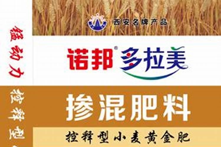 花生后期追肥使用什么肥料