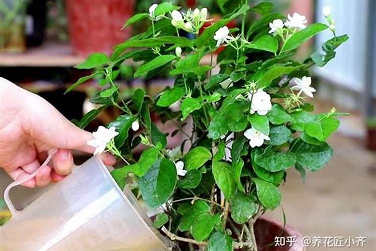 水溶肥价格多少钱一吨