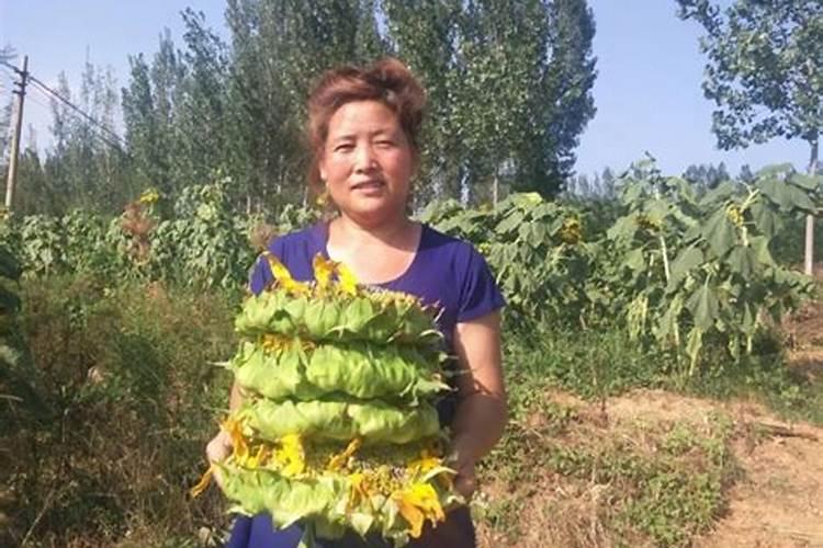 水泥是用来干嘛的