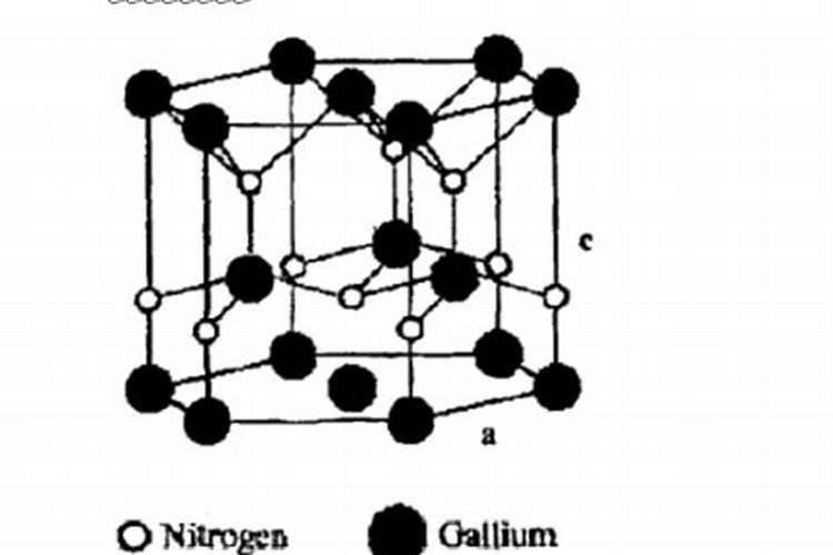 月季发芽之后需要施肥吗？多久施肥的效果最好？