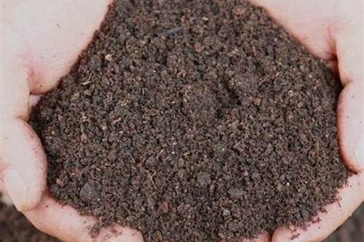 菜籽饼如何发酵成花肥