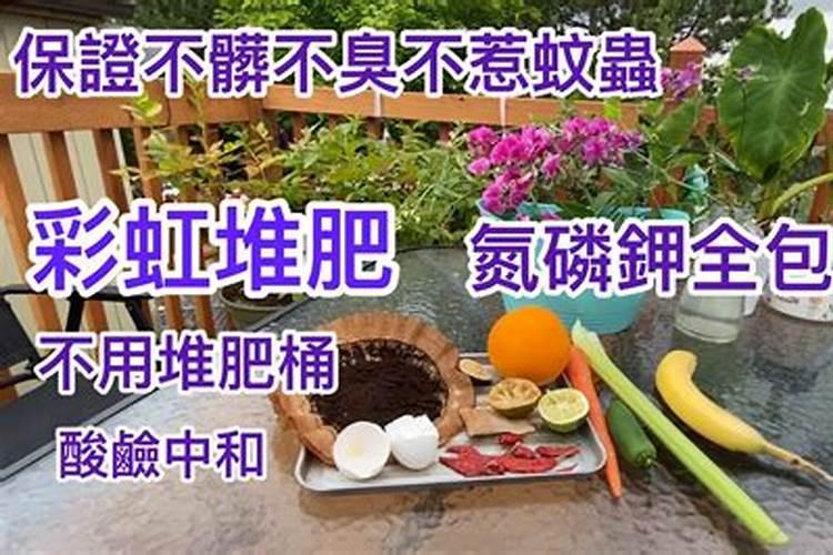 养花黄豆消除臭味的方法 正确使用黄豆肥没有异味的方法