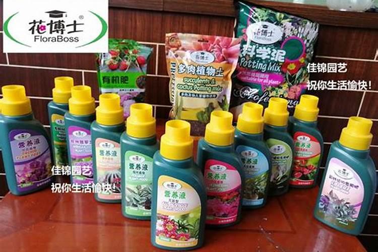 最好的兰花肥专用肥哪种最好