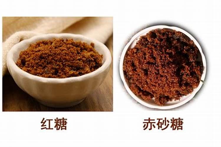 微型月季花的养殖方法