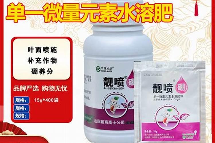 茶花花期后如何养护茶花谢花后如何管理？