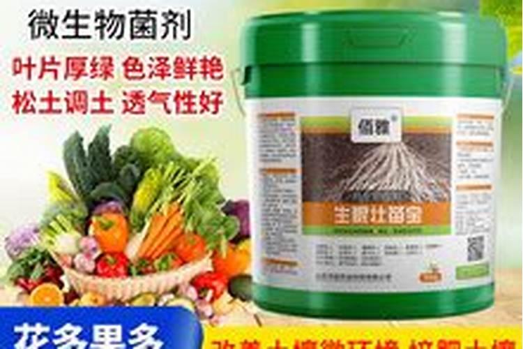 大黑灌冲施肥哪里有卖