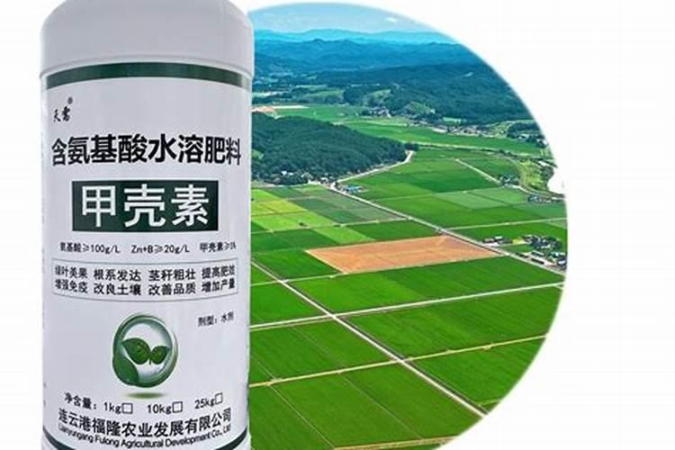 西瓜开花后结果如何管理施肥