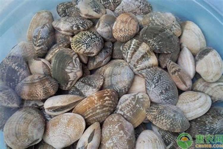 缓控释肥是新型肥料吗