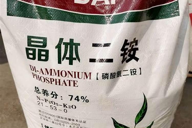 高磷肥料有哪些