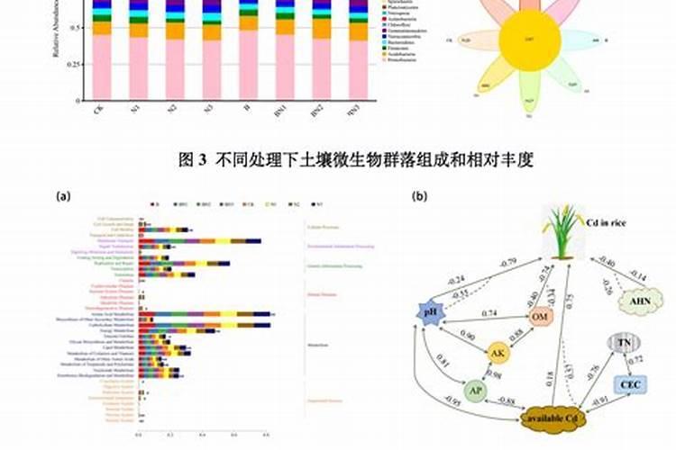 如何识别几种蔬菜施肥过量所引起的生理病害