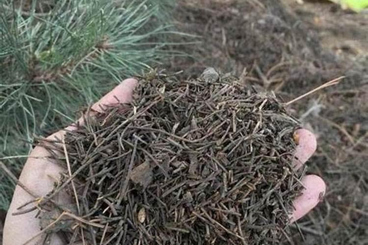 黄腐酸钾水产一克兑多少水